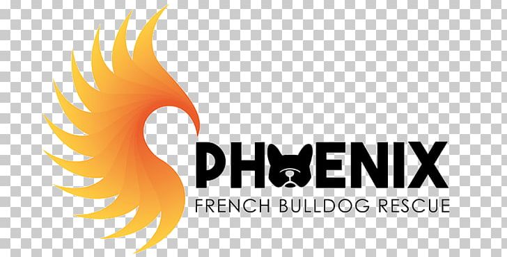 French Bulldog United Kingdom Dogs Trust Pet PNG, Clipart, Animal Welfare, Beak, Brand, Bulldog, Coat Free PNG Download