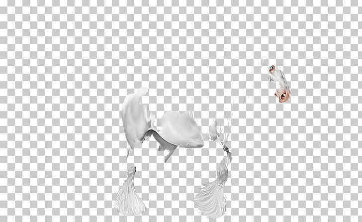 Horse Drawing Water Bird /m/02csf PNG, Clipart, Arm, Artwork, Bird, Black And White, Drawing Free PNG Download