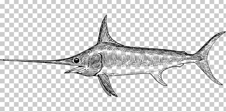 Swordfish Drawing Line Art PNG, Clipart, Artwork, Billfish, Black And White, Bony Fish, Drawing Free PNG Download