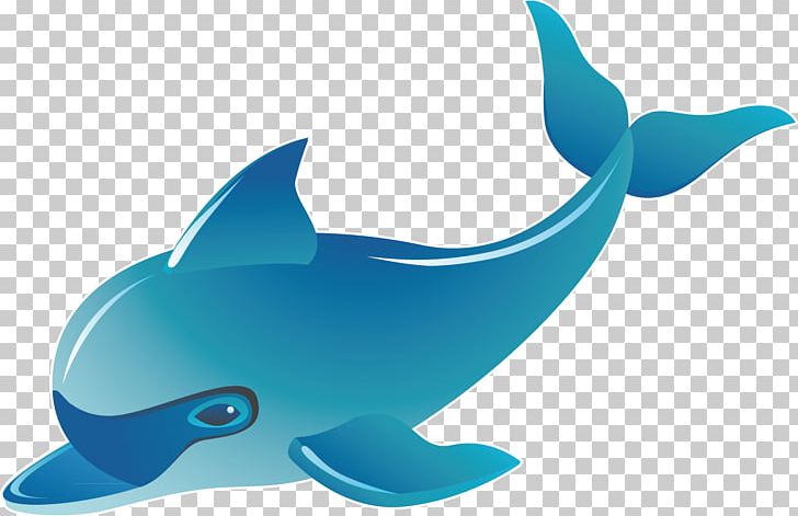 Common Bottlenose Dolphin Tucuxi Fauna Whale PNG, Clipart, Animal, Animals, Aqua, Aquatic Animal, Blue Free PNG Download