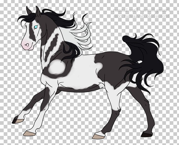 Mane Mustang Foal Stallion Pony PNG, Clipart, Cartoon, Colt, Fictional Character, Flightless Bird, Florida Kraze Krush Soccer Club Free PNG Download