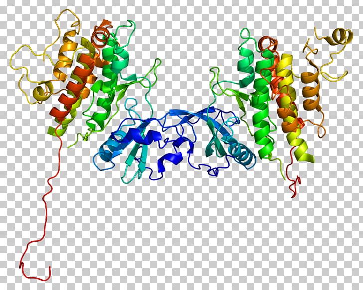 Protein Kinase Mitogen MAPKAPK2 PNG, Clipart, Activate, Body Jewelry, Camk2a, Casein Kinase 2, Enzyme Free PNG Download