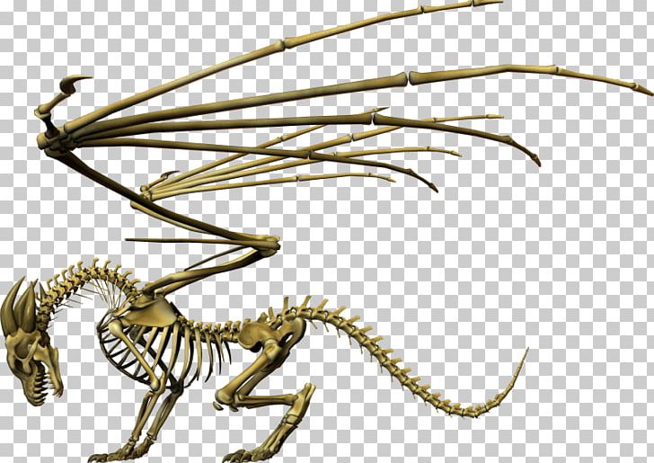 Skeleton Chinese Dragon Skull Invertebrate PNG, Clipart, Bone, Chinese Dragon, Creature, Desktop Wallpaper, Dragon Free PNG Download