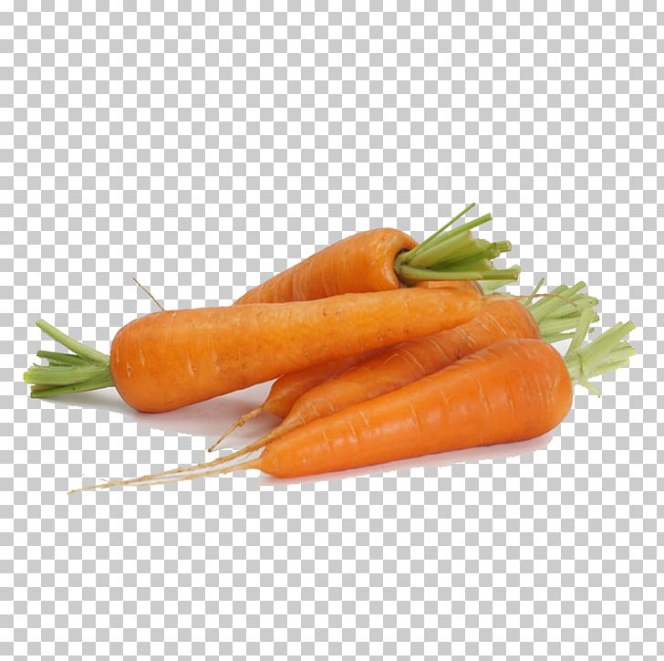 Baby Carrot Vegetable PNG, Clipart, Adobe Illustrator, Bockwurst, Carrot, Coreldraw, Daucus Carota Free PNG Download