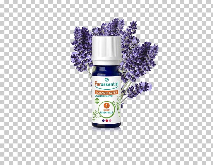 English Lavender Essential Oil Joint Orange Oil PNG, Clipart, Delayed Onset Muscle Soreness, English Lavender, Essential Oil, Eucalyptus Radiata, Joint Free PNG Download