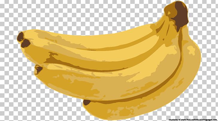 Latundan Banana Pisang Goreng Saba Banana Fruit PNG, Clipart, Animaatio, Avocado, Banana, Banana Clipart, Banana Family Free PNG Download
