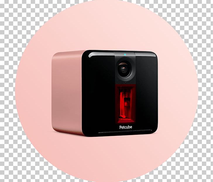 Petcube Play Petcube Camera Smart Camera Wi-Fi PNG, Clipart, 1080p, Camera, Cat, Dog, Electronic Device Free PNG Download
