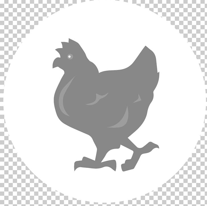 Rooster Chicken As Food Fauna Silhouette Black PNG, Clipart, Admin, Beak, Bird, Black, Black And White Free PNG Download
