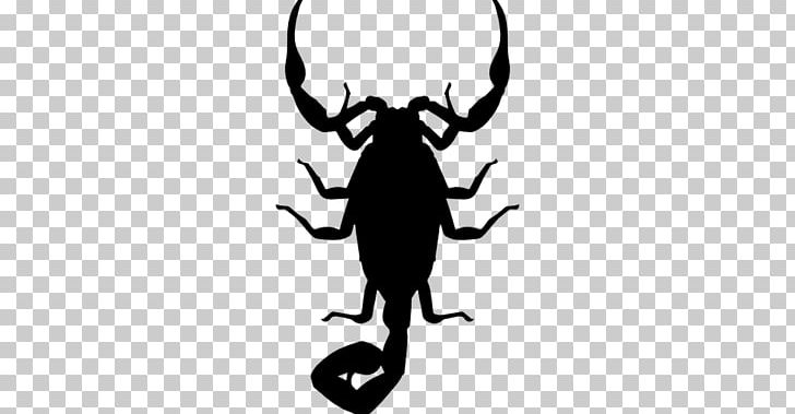 Scorpion Insect Silhouette Shape PNG, Clipart, Animal, Antler, Arthropod, Black And White, Drawing Free PNG Download