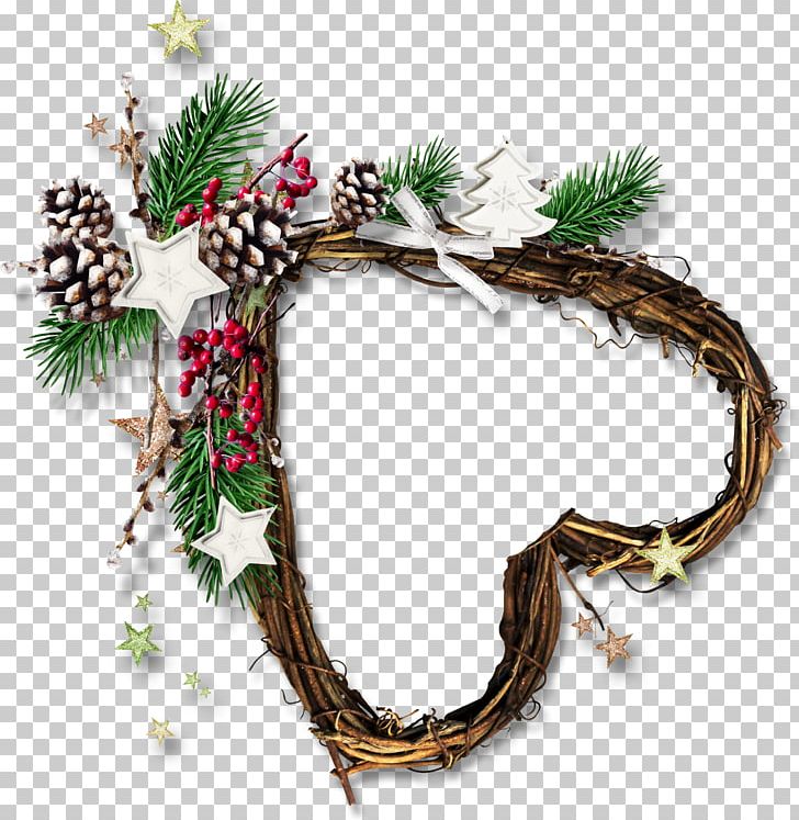 Christmas Ornament Pine PNG, Clipart, Christmas, Christmas Decoration, Christmas Frame, Christmas Ornament, Conifer Free PNG Download