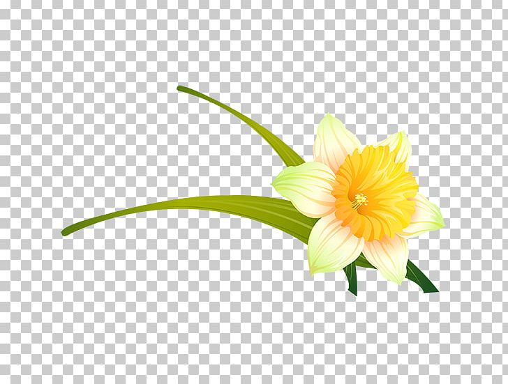 Cut Flowers Painting Artificial Flower PNG, Clipart, Art, Artificial Flower, Cicek Resimleri, Cut Flowers, Daisy Family Free PNG Download