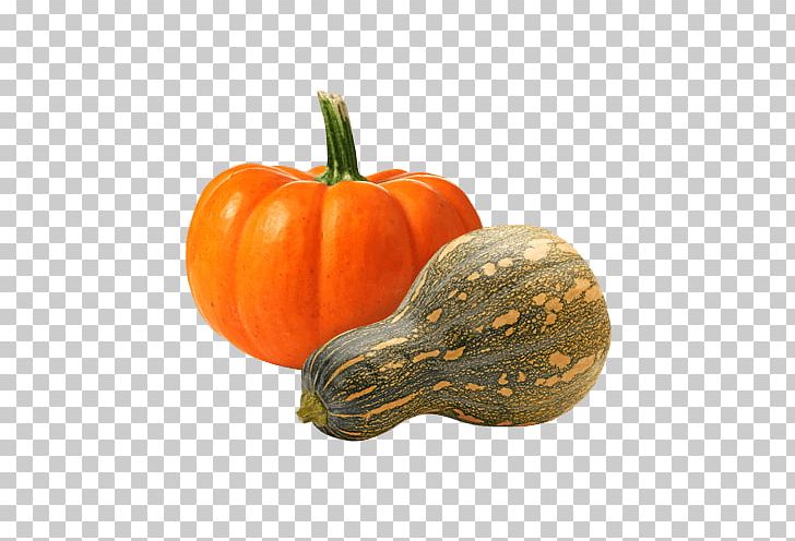 Pumpkin Risotto Gourd Carpaccio Winter Squash PNG, Clipart, Braising, Calabaza, Carpaccio, Cucumber Gourd And Melon Family, Cucurbita Free PNG Download