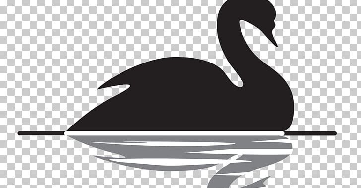 The Black Swan: The Impact Of The Highly Improbable Black Swan Theory Bird PNG, Clipart, Animals, Bird, Black, Black And White, Black Swan Free PNG Download