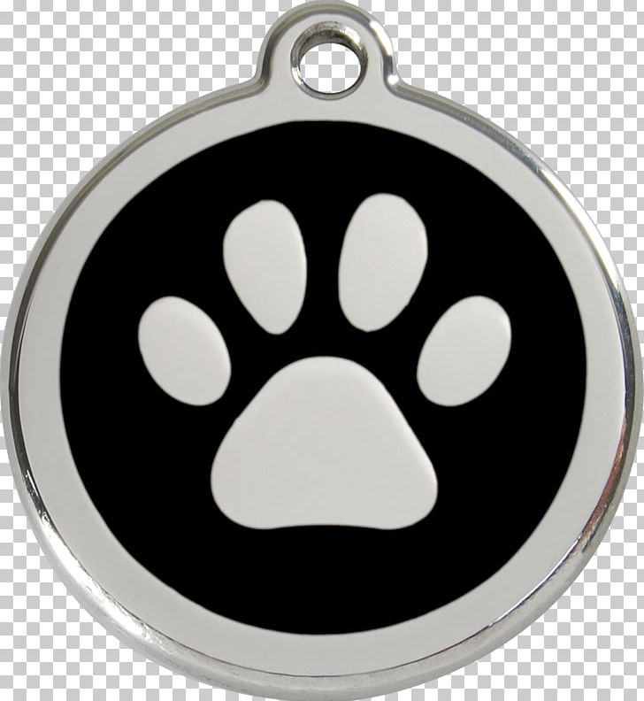 Dog Dingo Cat Pet Tag PNG, Clipart, Animals, Cat, Collar, Dingo, Dog Free PNG Download
