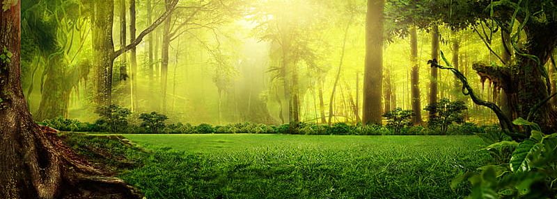 Fantasy Forest Green Background Taobao PNG, Clipart, Banner, Composition, Creative, Dream, Fantasy Free PNG Download
