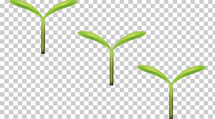Germination Green Leaf Google S PNG, Clipart, Adzuki Bean, Angle, Bean Sprouts, Download, Encapsulated Postscript Free PNG Download