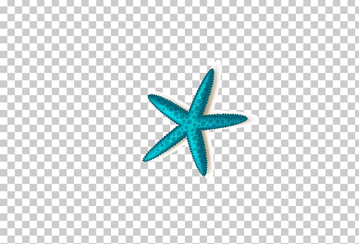 Chimelong Ocean Kingdom Starfish Zhuhai PNG, Clipart, Animals, Aqua, Beautiful Starfish, Blue, Cartoon Starfish Free PNG Download