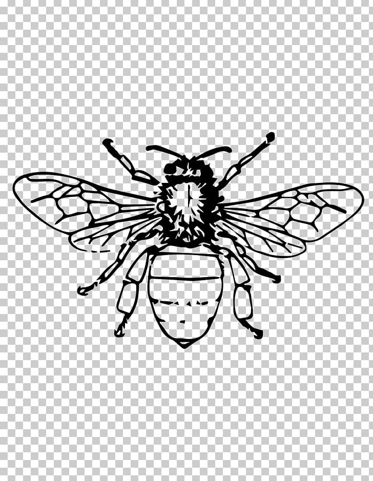 Honey Bee Beehive Queen Bee Beekeeping PNG, Clipart, Arthropod, Artwork, Bee, Bee Sting, Black And White Free PNG Download