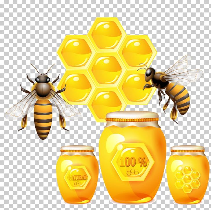 Honey Bee U0423u0447u0438u043c U0441u043bu043eu0432u0430 U043fu043e U043au0430u0440u0442u043eu0447u043au0430u043c U0414u043eu043cu0430u043du0430 Learn Words At The Doman Cards PNG, Clipart, Android, Bee, Beehive, Bee Hive, Bee Pollen Free PNG Download