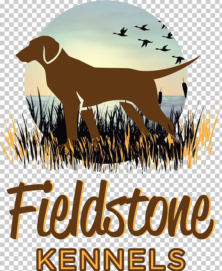 Labrador Retriever Puppy Canidae Kennel PNG, Clipart, Beak, Bird, Breed, Breeder, Breeding Program Free PNG Download