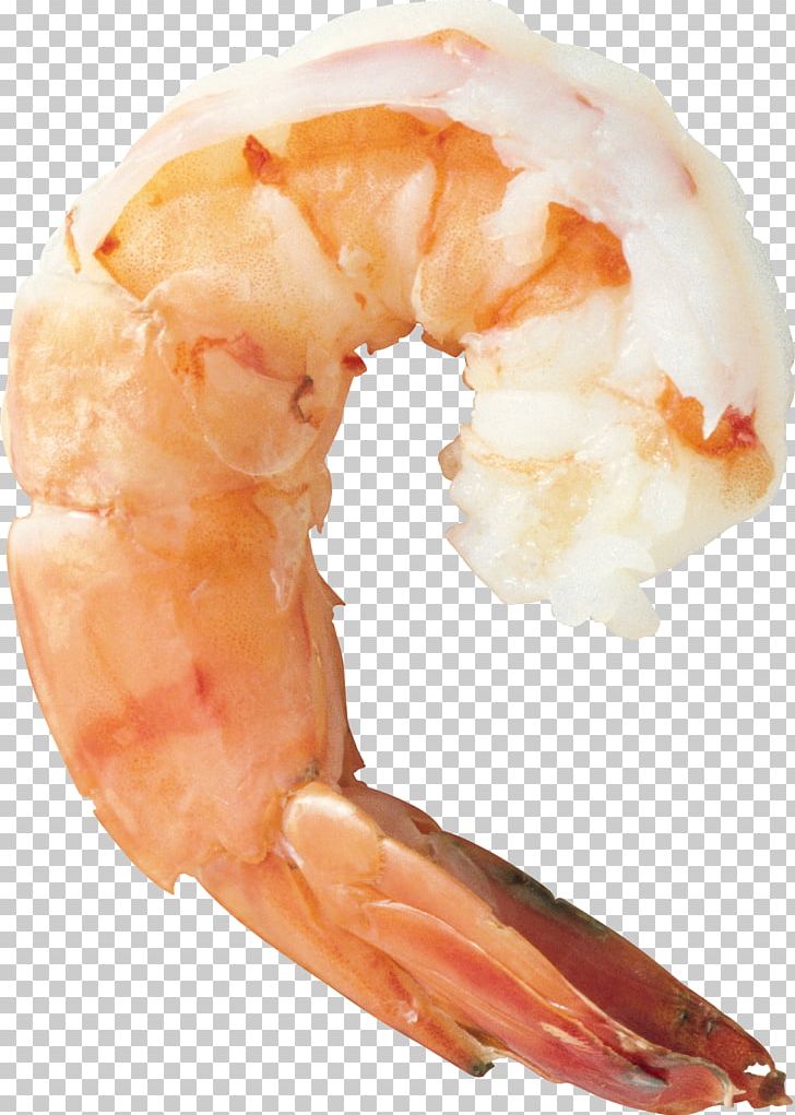 Shrimp Prawn Cocktail Seafood Cooking PNG, Clipart, Animals, Animal Source Foods, Caridea, Caridean Shrimp, Decapoda Free PNG Download