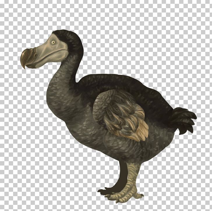 Dodo ARK: Survival Evolved Animation PNG, Clipart, Animation, Ark Survival Evolved, Beak, Bird, Cartoon Free PNG Download