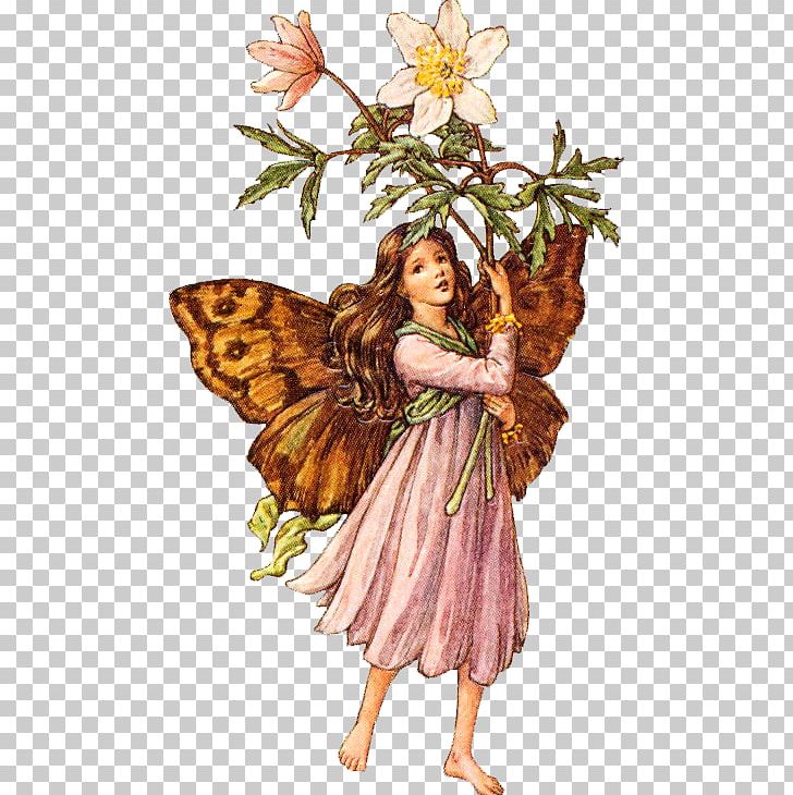 Fairy Harry Potter Flower Fairies Of The Summer Goblin PNG, Clipart, Angel, Duende, Elf, Fairy Tale, Fantasy Free PNG Download