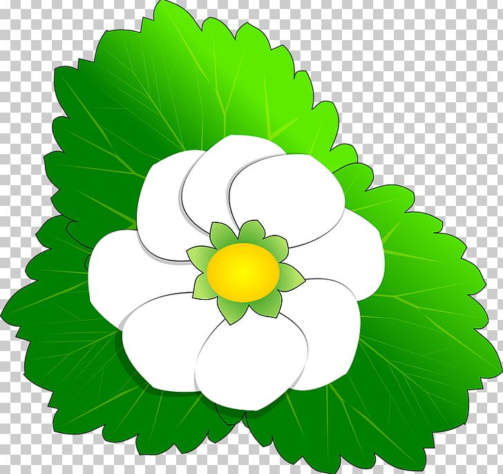 Flower PNG, Clipart, Annual Plant, Art, Circle, Common Daisy, Cut Flowers Free PNG Download