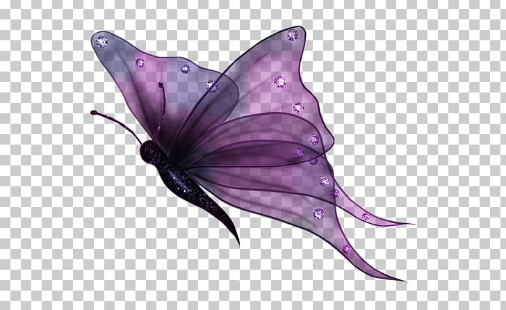 Full-Color Decorative Butterfly Illustrations Portable Network Graphics Transparency PNG, Clipart, Brush Footed Butterfly, Butterfly, Desktop Wallpaper, Dolphin, Encapsulated Postscript Free PNG Download