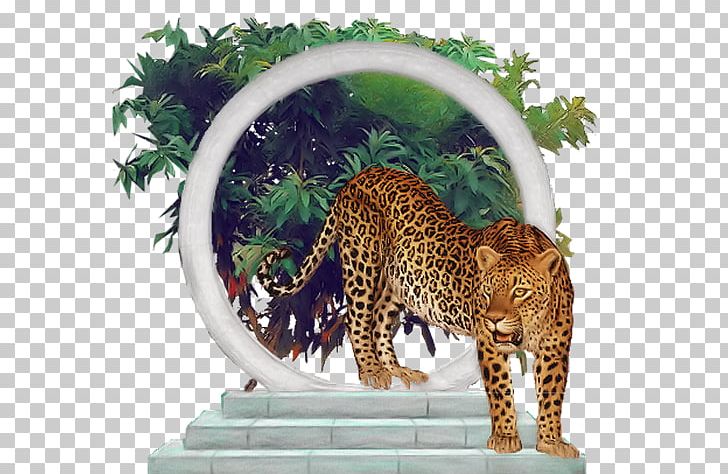 Leopard Felidae Jaguar Blog Cheetah PNG, Clipart, Animal, Animals, Big Cats, Blog, C 64 Free PNG Download