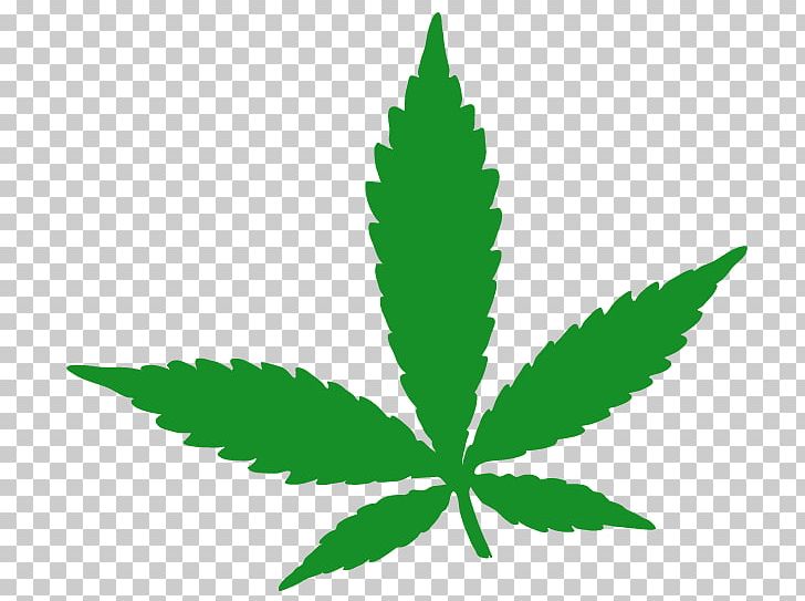 Medical Cannabis Hemp Cannabidiol Hash Oil PNG, Clipart, 420 Day, Cannabidiol, Cannabinoid, Cannabis, Cannabis Social Club Free PNG Download