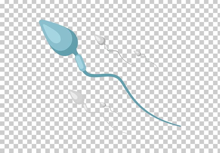 Spermatozoon Female Reproductive System Reproduction PNG, Clipart, Drawing, Embryogenesis, Female Reproductive System, Female Sperm, Line Free PNG Download