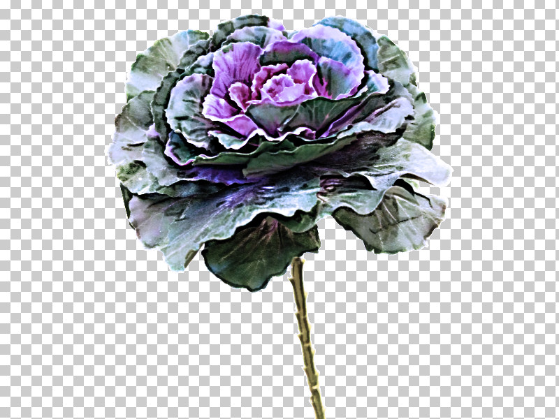 Flower Bouquet PNG, Clipart, Artificial Flower, Biology, Cabbage Rose, Cut Flowers, Flower Free PNG Download