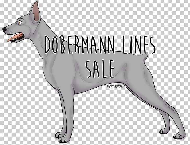 Dog Breed Pariah Dog Snout PNG, Clipart, Animals, Breed, Carnivoran, Doberman, Dog Free PNG Download