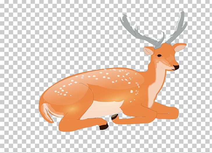 Reindeer Antler Horn PNG, Clipart, Animal, Animal Figure, Antler, Boynuz, Cartoon Free PNG Download