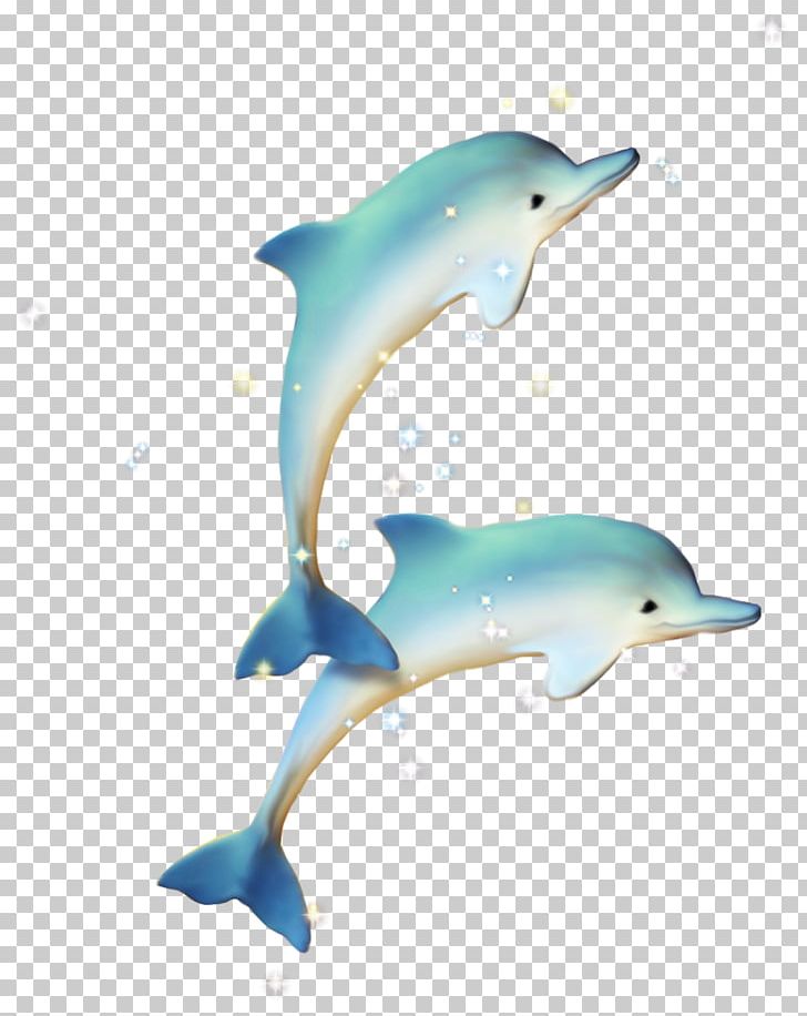 Common Bottlenose Dolphin Short-beaked Common Dolphin Tucuxi PNG, Clipart, Animals, Beak, Blister, Blue, Blue Free PNG Download