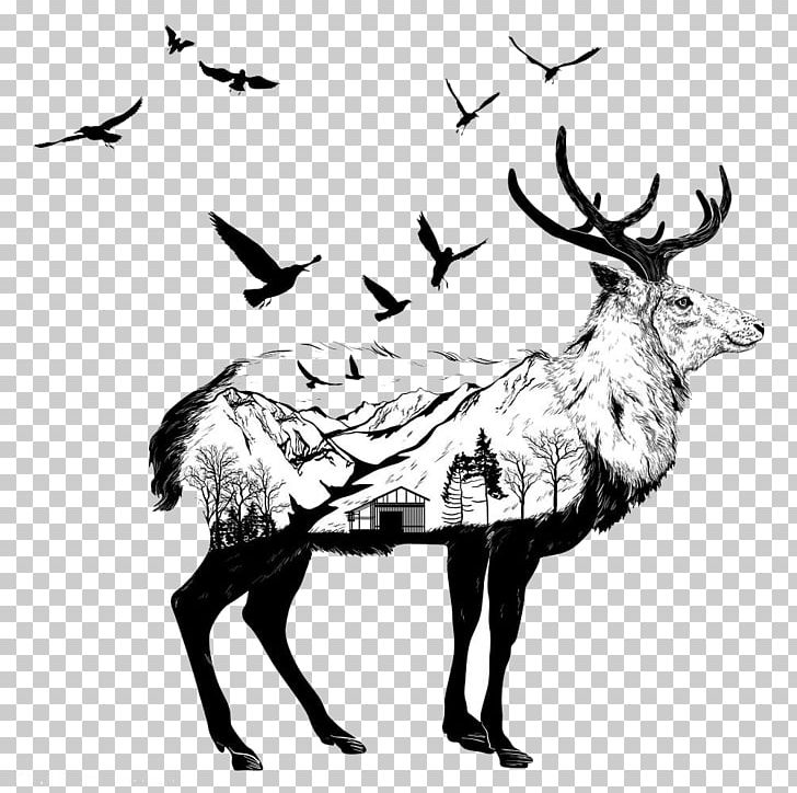 Drawing Wildlife Art Illustration PNG, Clipart, Animals, Antler, Creative Artwork, Creative Background, Creative Logo Design Free PNG Download