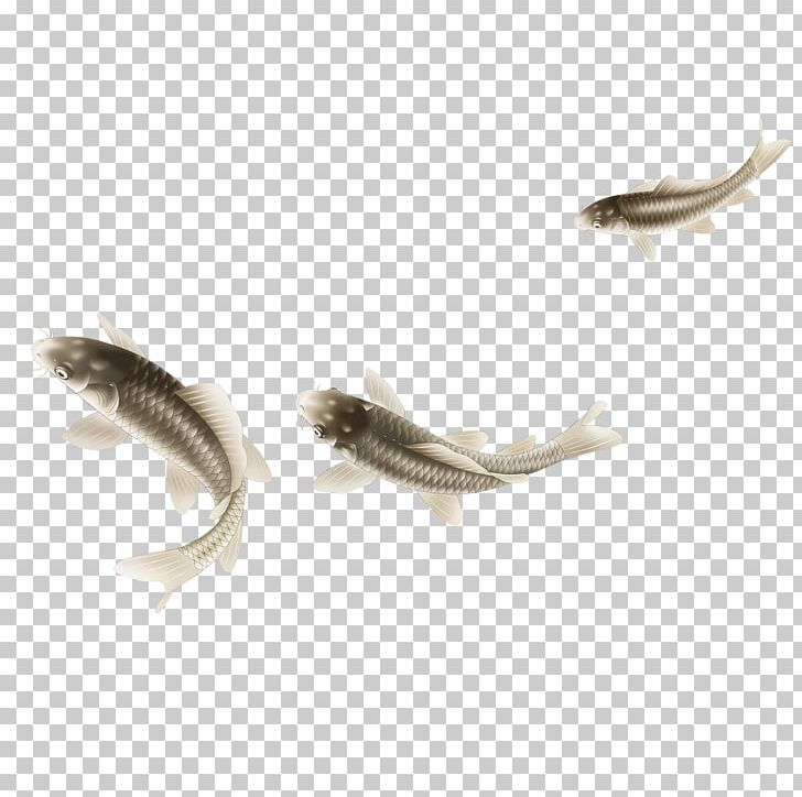 Animals Grey Aquarium Fish PNG, Clipart, Animal, Animals, Aquarium Fish, Black And White, Body Jewelry Free PNG Download