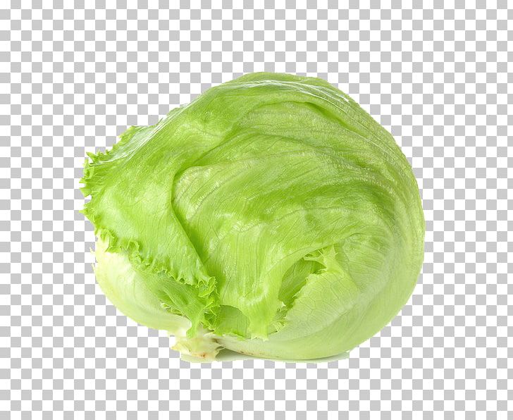 Leaf Vegetable Iceberg Lettuce Food Leaf Lettuce PNG, Clipart, Cabbage, Capitata Group, Food, Food Drinks, Fruit Free PNG Download