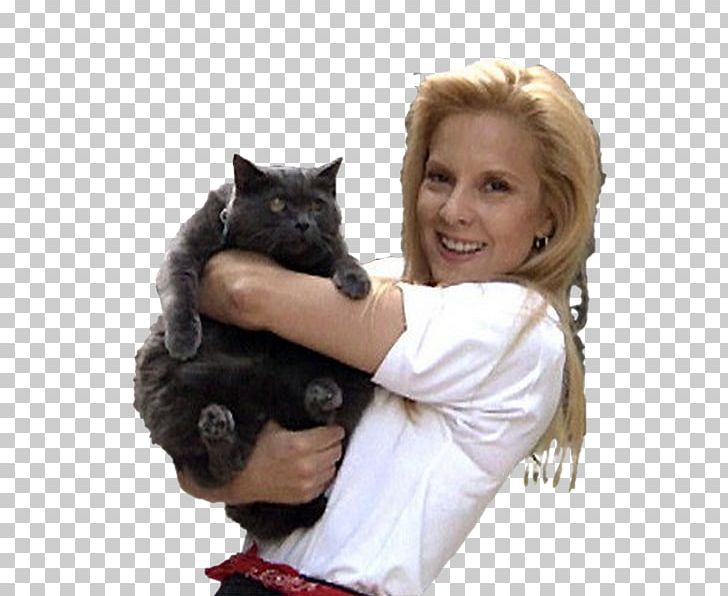 Sylvie Vartan Cat Loconville .net PNG, Clipart, Biscuits, Cat, Cat Like Mammal, Easter, Fur Free PNG Download