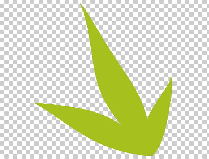 Wix.com Website Builder Leaf Logo PNG, Clipart, Bamboo, Bamboo Leaf, Blank, Computer Programming, Fee Free PNG Download