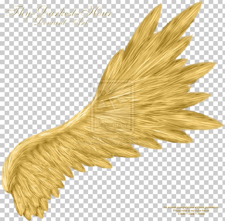 Angel Wings PNG, Clipart, Angel, Angel Wings, Archangel, Commodity, Devil Free PNG Download