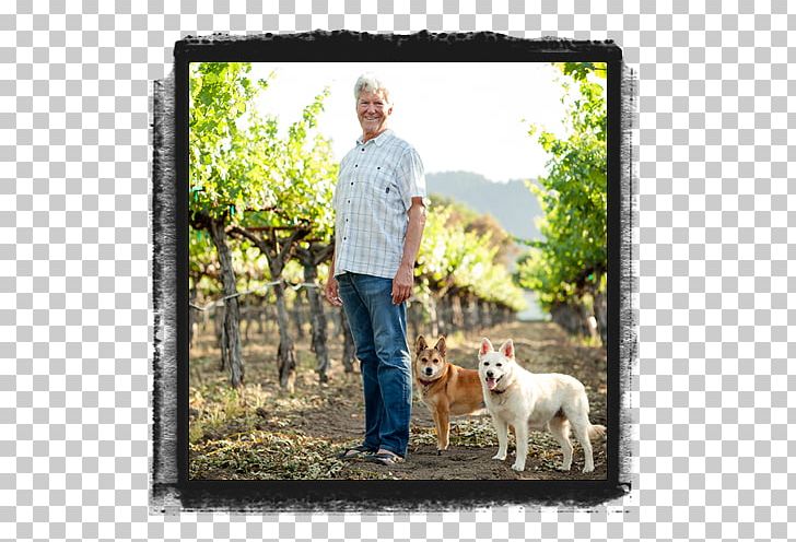 Hoopes Vineyard Dog Breed Obedience Training Winery PNG, Clipart, Breed, Champagne Cheers, Craft, Dog, Dog Breed Free PNG Download