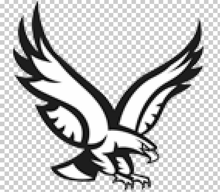Sports Association America's Bald Eagle PNG, Clipart,  Free PNG Download
