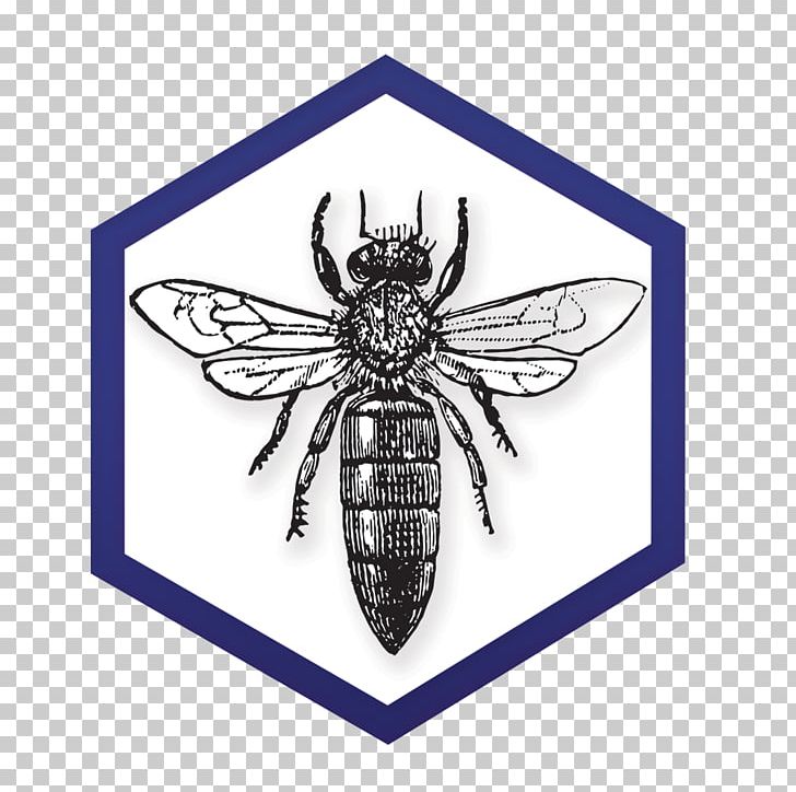 Western Honey Bee Queen Bee Drawing PNG, Clipart, Apiary, Arthropod, Bee, Bee Brood, Beehive Free PNG Download