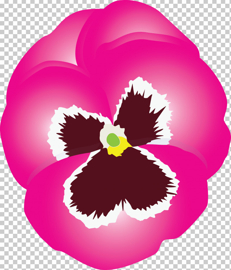 PANSY Spring Flower PNG, Clipart, Cattleya, Flower, Magenta, Pansy, Petal Free PNG Download
