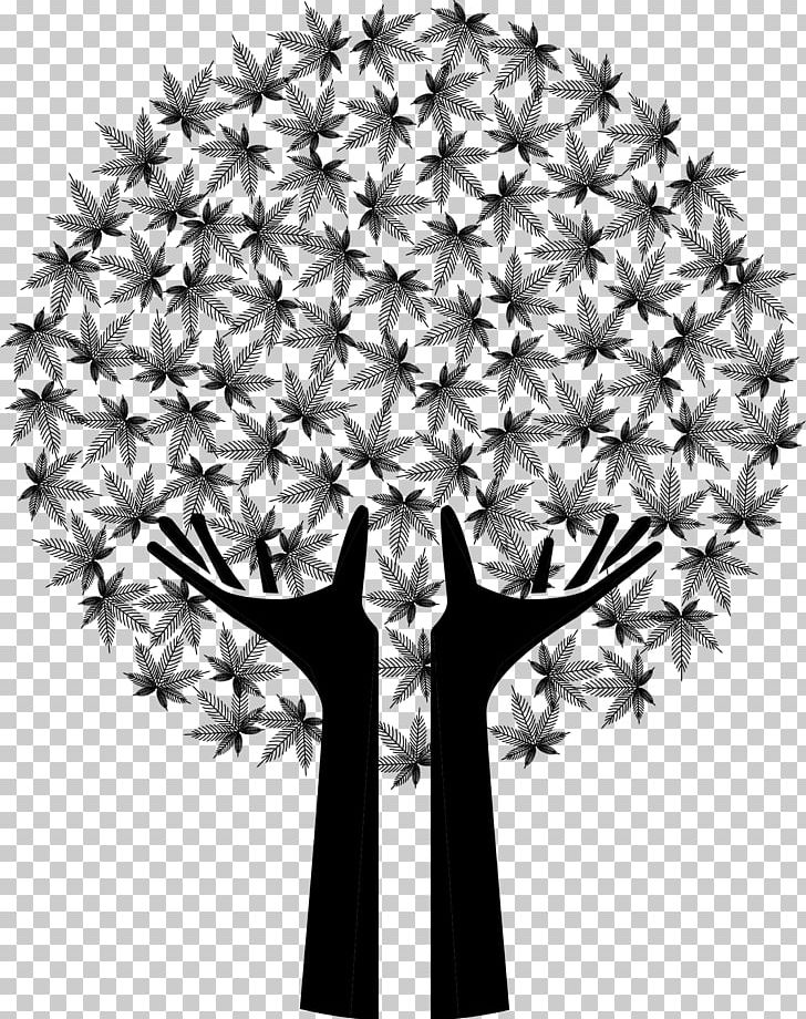 Drawing PNG, Clipart, Art, Black And White, Cannabis, Drawing, Flora Free PNG Download