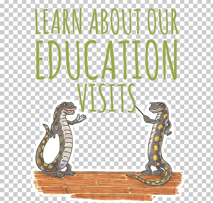 Education Teacher Font Fauna Book PNG, Clipart, Autumn, Book, Education, Fauna, Organism Free PNG Download