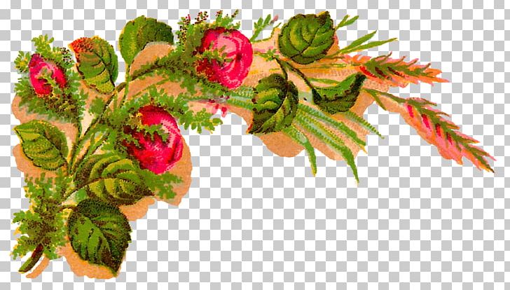 Flower Rose PNG, Clipart, Antique, Branch, Christmas Ornament, Conifer, Decorative Arts Free PNG Download
