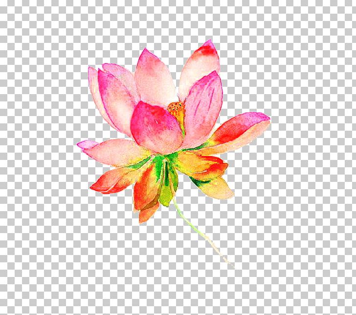 Information PNG, Clipart, Adobe Illustrator, Aquatic Plant, Charge, Cut Flowers, Flower Free PNG Download